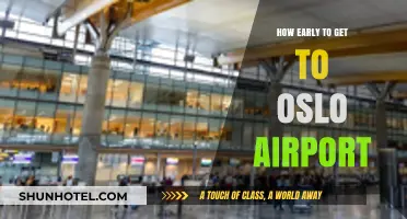 Arriving Stress-Free: Optimal Timing for Oslo Airport Departure