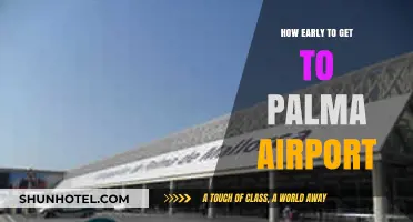 Palma Airport Arrival Guide: Optimal Timing for Stress-Free Travel