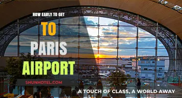 Arriving Stress-Free: Optimal Timing for Paris Airport Departures