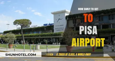 Arriving at Pisa Airport: Optimal Timing for Stress-Free Travel