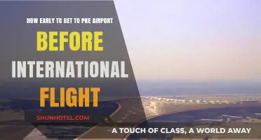 Timing Your PKE Airport Arrival for Stress-Free International Travel