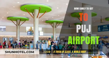 Arriving Stress-Free: Optimal Timing for Your PUJ Airport Arrival