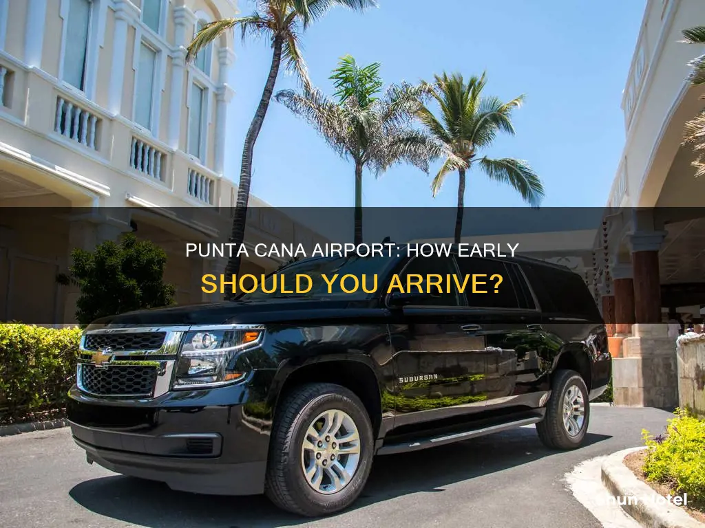 how early to get to punta cana airport