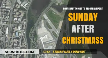 Post-Christmas Sunday Travel: Optimal Arrival Time for Reagan Airport