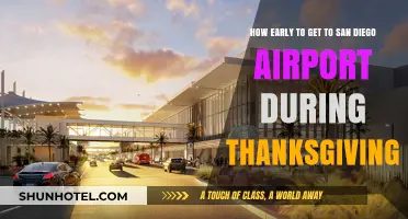 Thanksgiving Travel Tips: Optimal Arrival Time for San Diego Airport