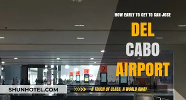 Optimal Arrival Time for San Jose del Cabo Airport: A Guide
