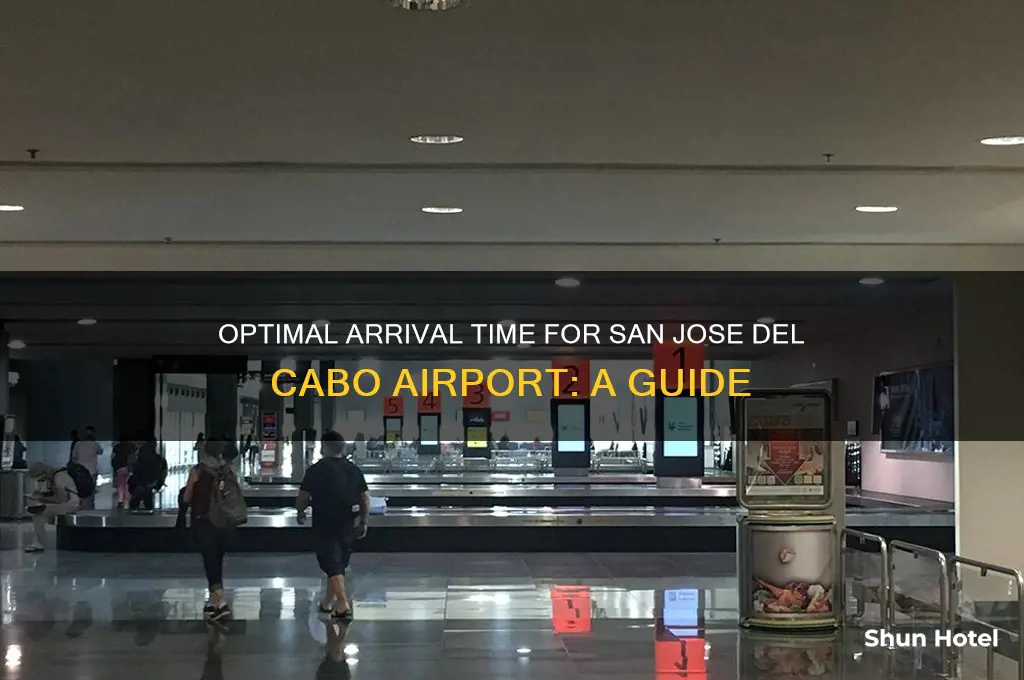 how early to get to san jose del cabo airport