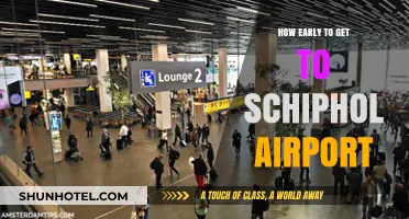 Arriving at Schiphol: Optimal Timing for Stress-Free Travel Experience