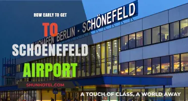 Arriving Stress-Free: Optimal Timing for Schoenefeld Airport Travel