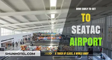Arriving Stress-Free: Optimal Timing for Your SeaTac Airport Arrival