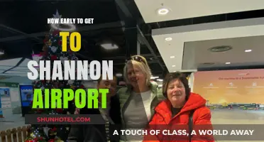 Arriving at Shannon Airport: Timing Your Journey for Stress-Free Travel