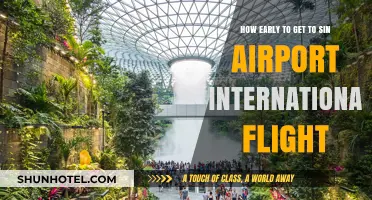 Arriving Early for International Flights at Singapore Changi Airport: A Guide