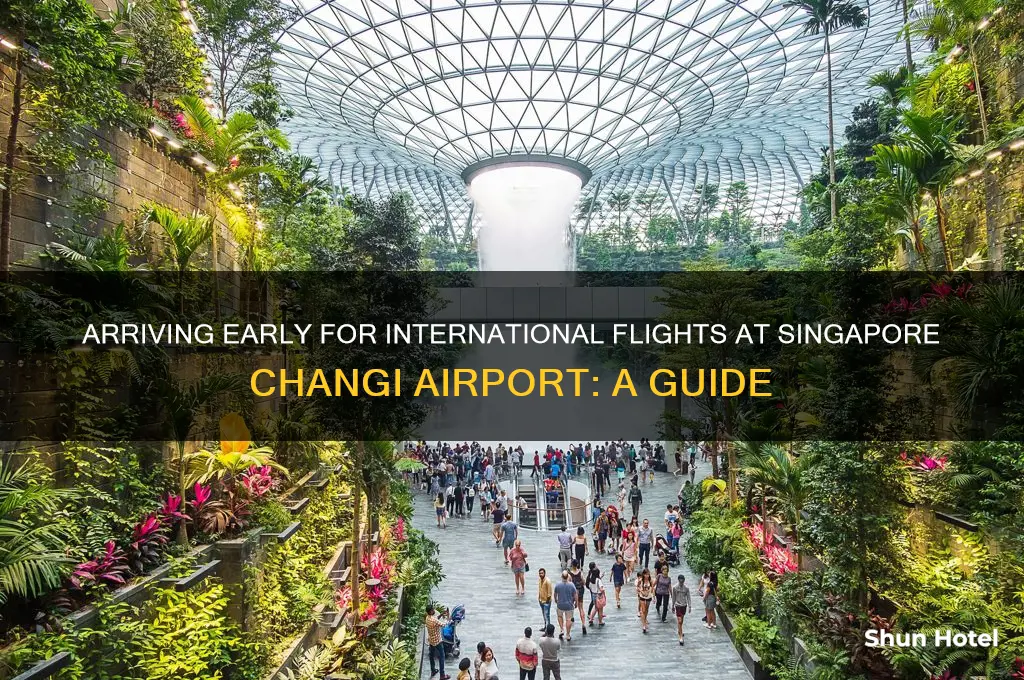 how early to get to sin airport international flight