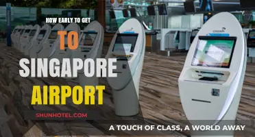 Arriving Stress-Free: Optimal Timing for Singapore Airport Check-In