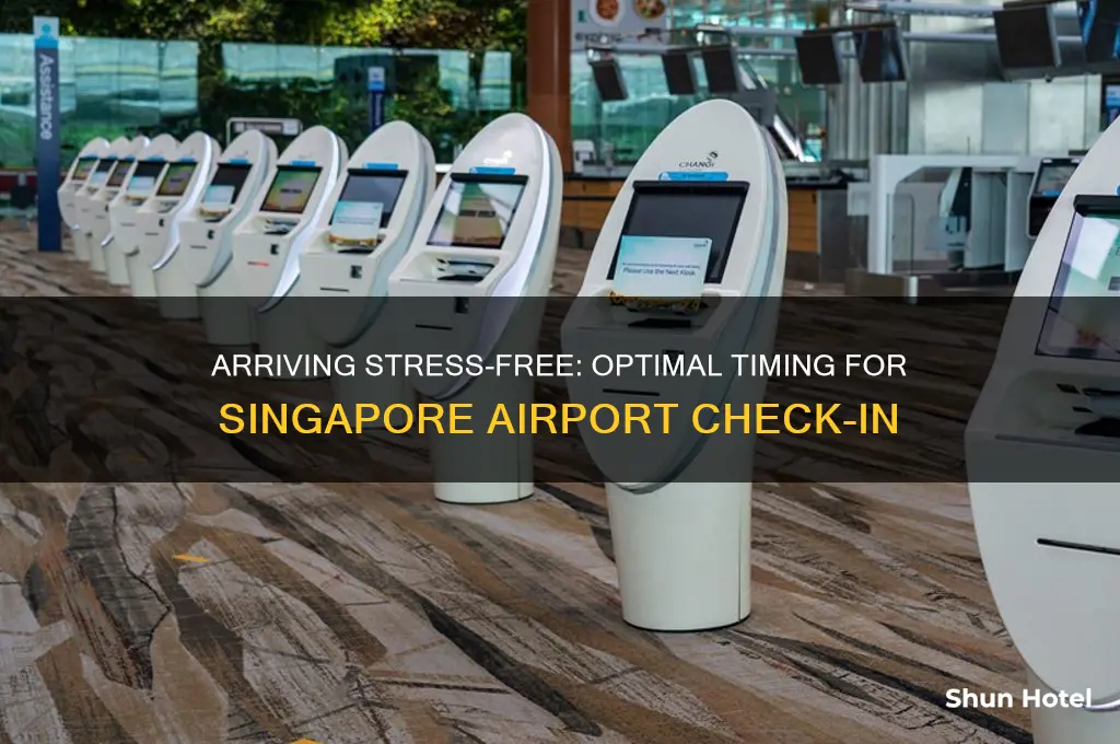 how early to get to singapore airport