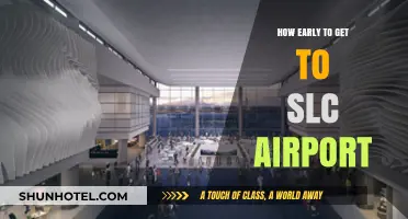 Arriving Stress-Free: Optimal Timing for SLC Airport Travel