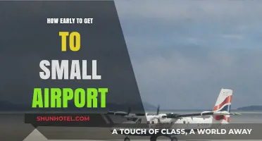 Arriving Early: Navigating Small Airport Timelines for Stress-Free Travel
