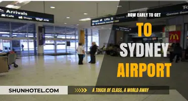 Sydney Airport Arrival Guide: Optimal Timing for Stress-Free Travel