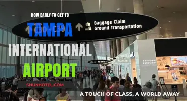 Tampa Airport Arrival Guide: Timing Your Trip for Stress-Free Travel