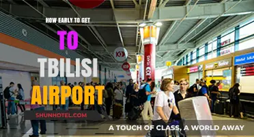 Tbilisi Airport Arrival Guide: Timing Your Trip for Stress-Free Travel