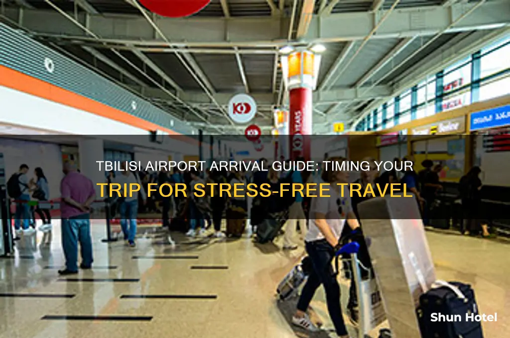 how early to get to tbilisi airport