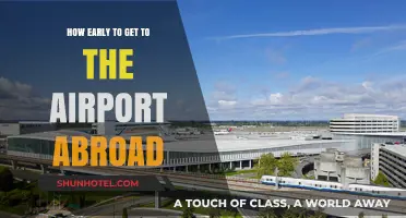 Travel Smart: Optimal Airport Arrival Times for International Flights
