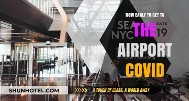 Navigating Airport Travel: Optimal Arrival Times During COVID-19 Era