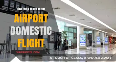 Domestic Flight Travel: Optimal Airport Arrival Time Tips