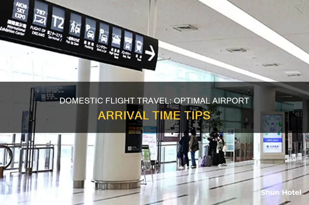how early to get to the airport domestic flight