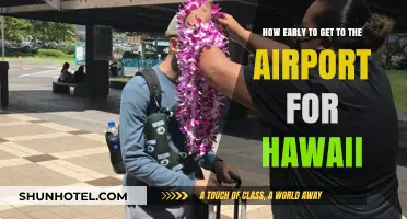 Perfect Timing: When to Arrive at the Airport for Hawaii Flights