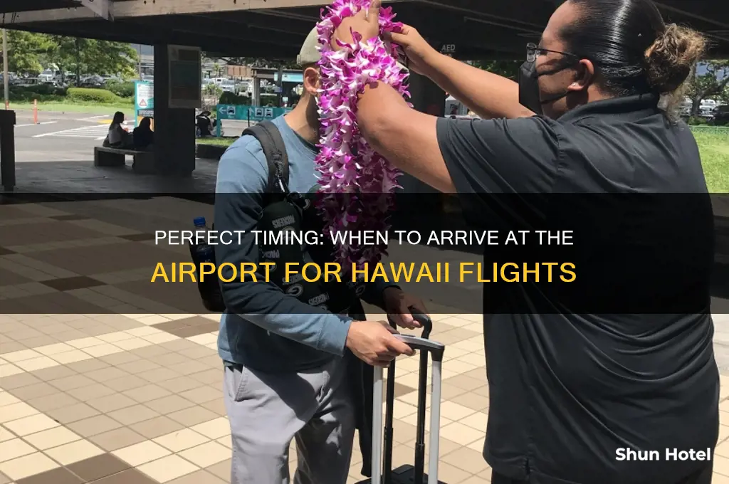 how early to get to the airport for hawaii