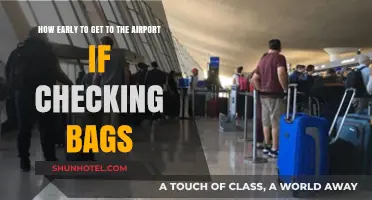 Airport Timing Tips: When to Arrive for Checked Baggage Flights