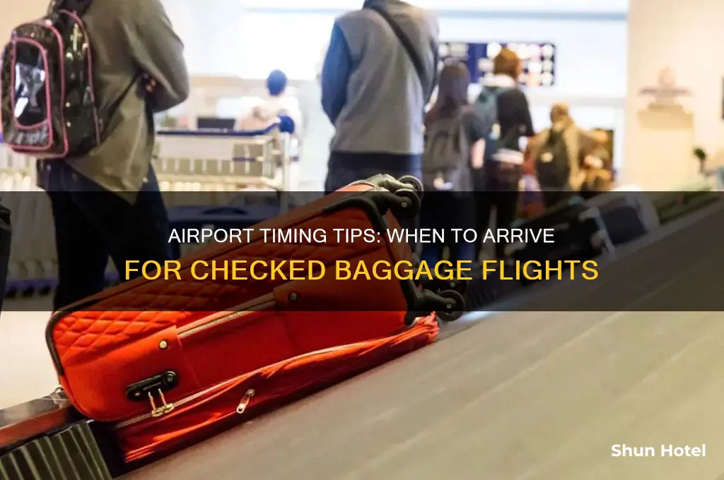 how early to get to the airport if checking bags