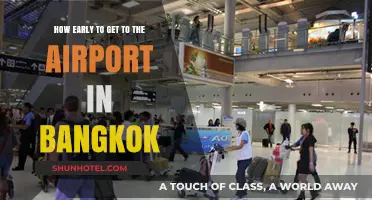 Navigating Bangkok Airport: Optimal Arrival Times for Stress-Free Travel
