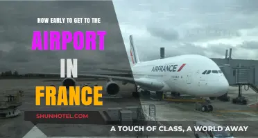 Arriving Stress-Free: Optimal Airport Arrival Times in France