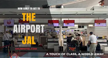 JAL Airport Arrival Tips: How Early Should You Get There?