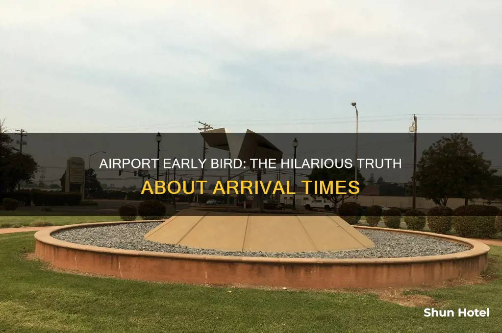 how early to get to the airport joke