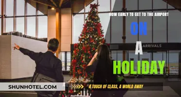 Holiday Travel Tips: Optimal Airport Arrival Times for Stress-Free Flights