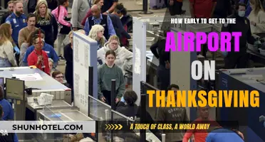 Thanksgiving Airport Survival: Timing Your Arrival for Stress-Free Travel