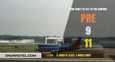 Pre-9/11 Airport Arrival: How Early Was Necessary to Fly?