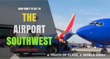 Southwest Airport Arrival Guide: Timing Your Trip for Stress-Free Travel