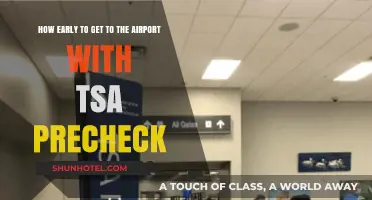 Maximize Your Travel Time: TSA PreCheck Airport Arrival Tips