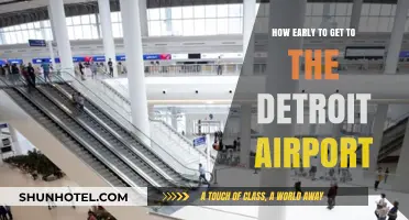 Navigating Detroit Airport: Optimal Arrival Times for Stress-Free Travel