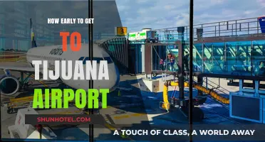 Arriving Stress-Free: Optimal Timing for Tijuana Airport Travel