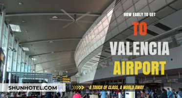Arriving Stress-Free: Optimal Timing for Valencia Airport Departure