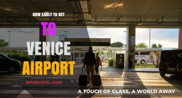 Arriving Stress-Free: Optimal Timing for Venice Airport Travel