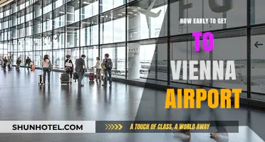 Arriving Stress-Free: Optimal Timing for Vienna Airport Departures