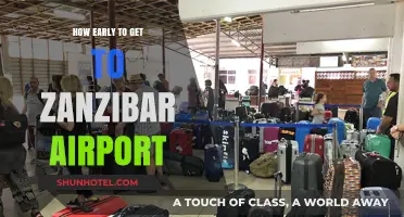Zanzibar Airport Arrival Guide: Optimal Timing for Stress-Free Travel