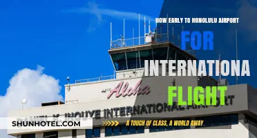 Arriving Early: Honolulu Airport Tips for International Flights
