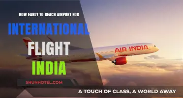 International Flights from India: Optimal Airport Arrival Time Guide